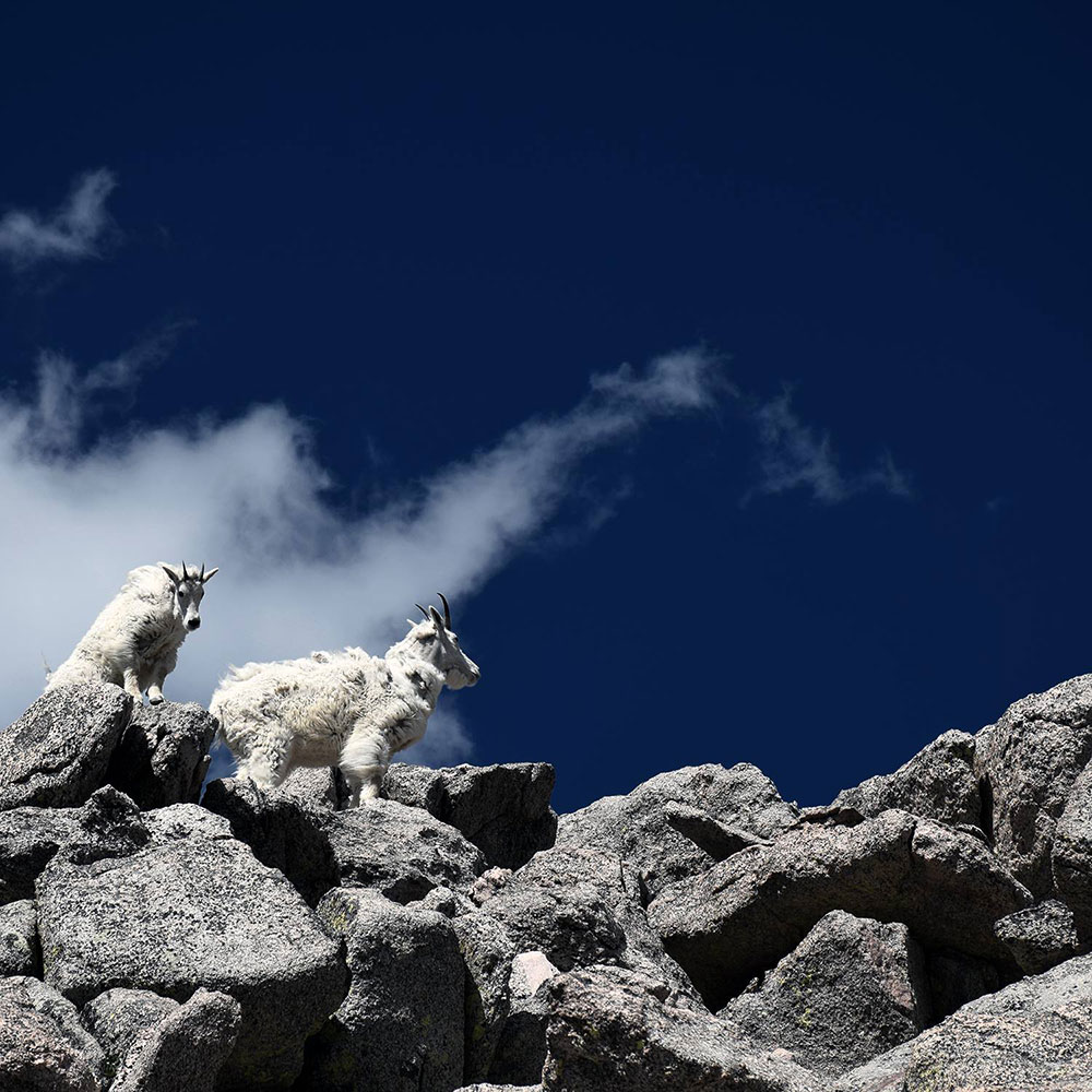 mount evans scenic byway